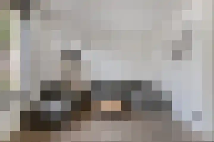 Tamboer 58 Bergeijk thumbnail 4