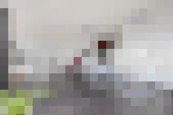 Tamboer 66 Best thumbnail 14