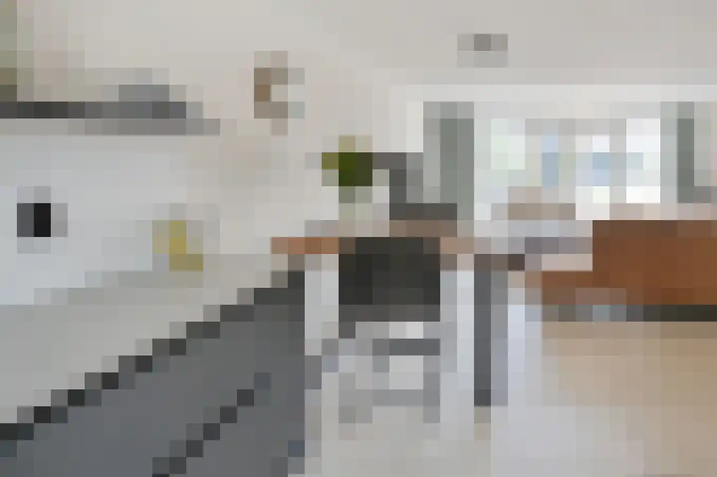 Tamboer 7 De Kwakel thumbnail 5