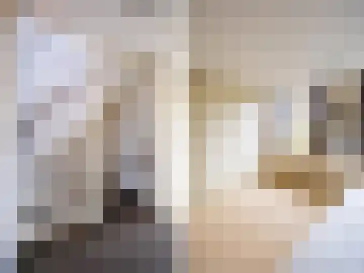 Tamboer 93 Heelsum thumbnail 13