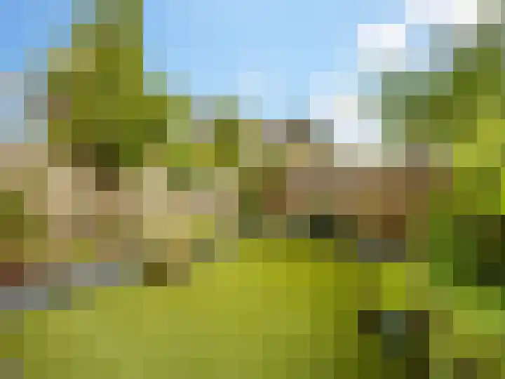 Tamboer 93 Heelsum thumbnail 22
