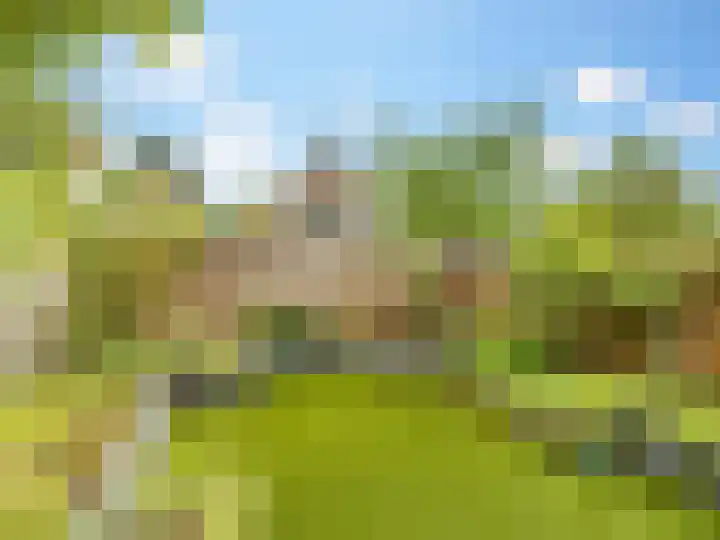 Tamboer 93 Heelsum thumbnail 24