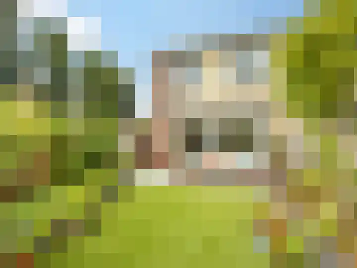 Tamboer 93 Heelsum thumbnail 25