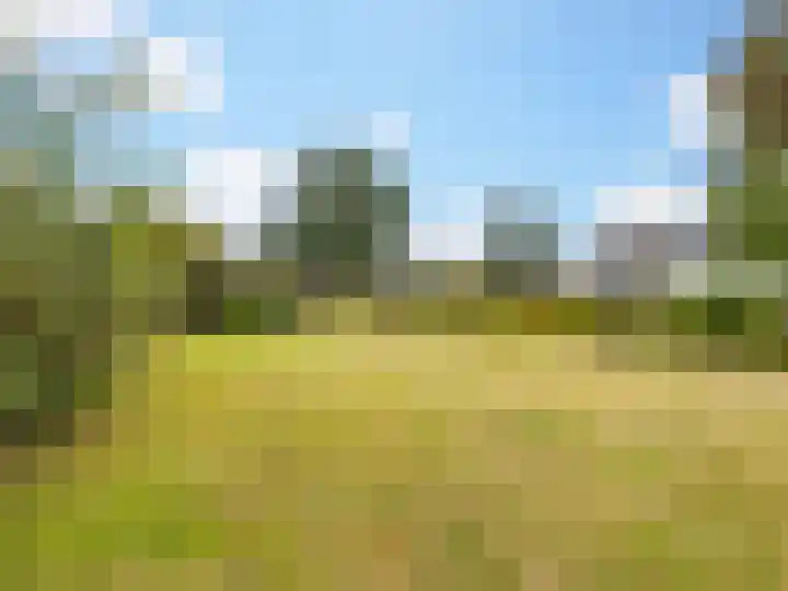 Tamboer 93 Heelsum thumbnail 26