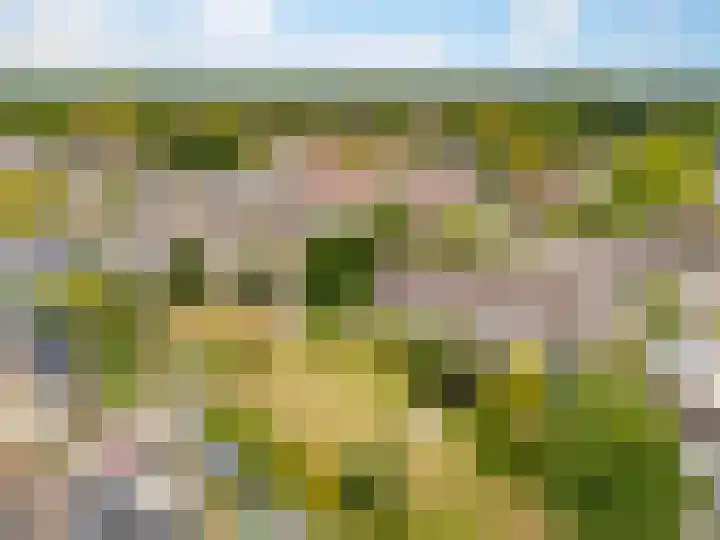 Tamboer 93 Heelsum thumbnail 27