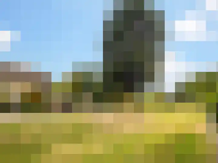 Tamboer 93 Heelsum thumbnail 4