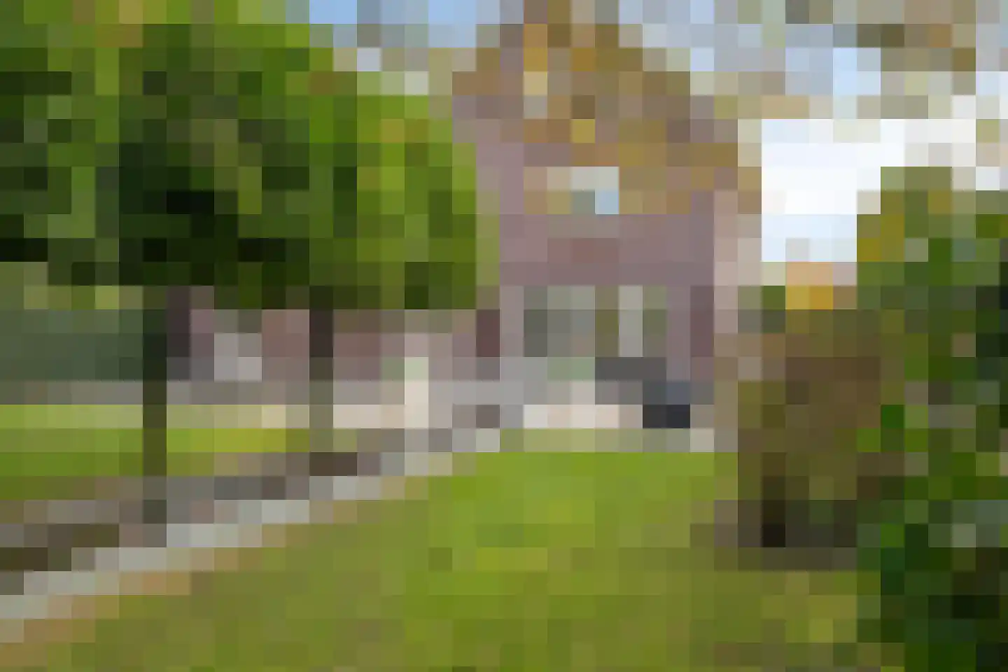 Tamboerhof 3 Etten-Leur thumbnail 12