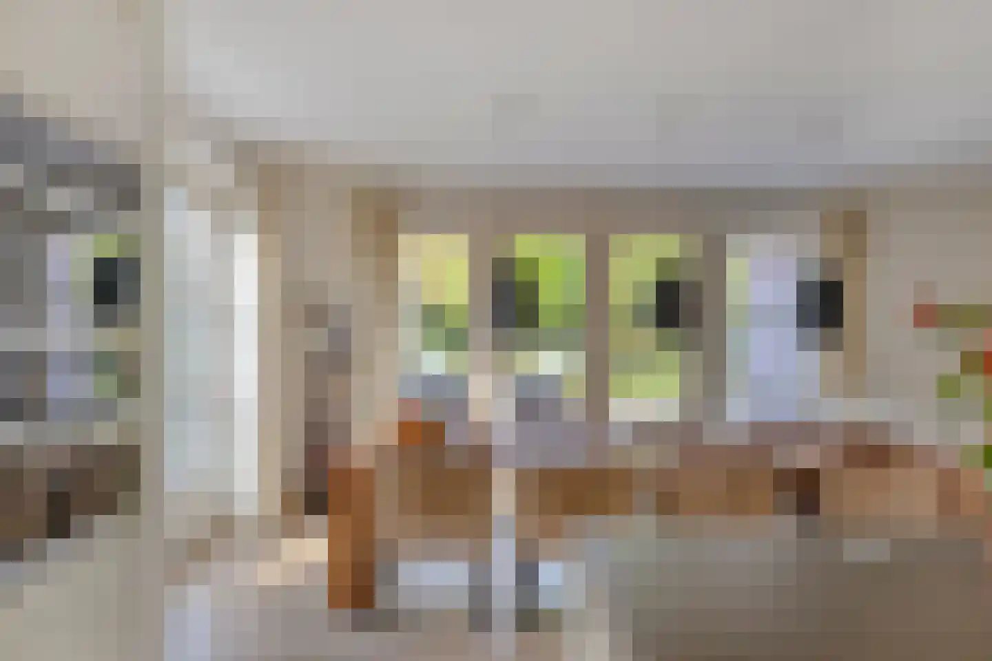Tamboerhof 3 Etten-Leur thumbnail 23