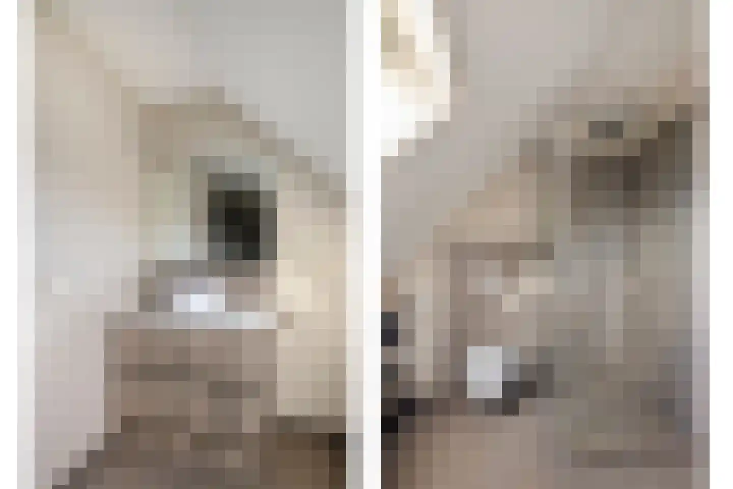 Tamboerhof 3 Etten-Leur thumbnail 41