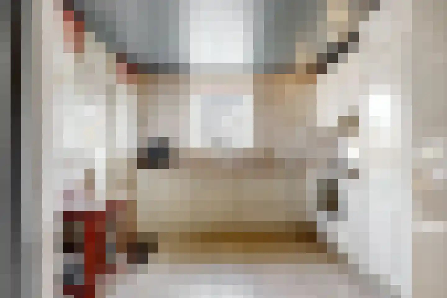 Tamboerijnhof 15 Zaandijk thumbnail 13
