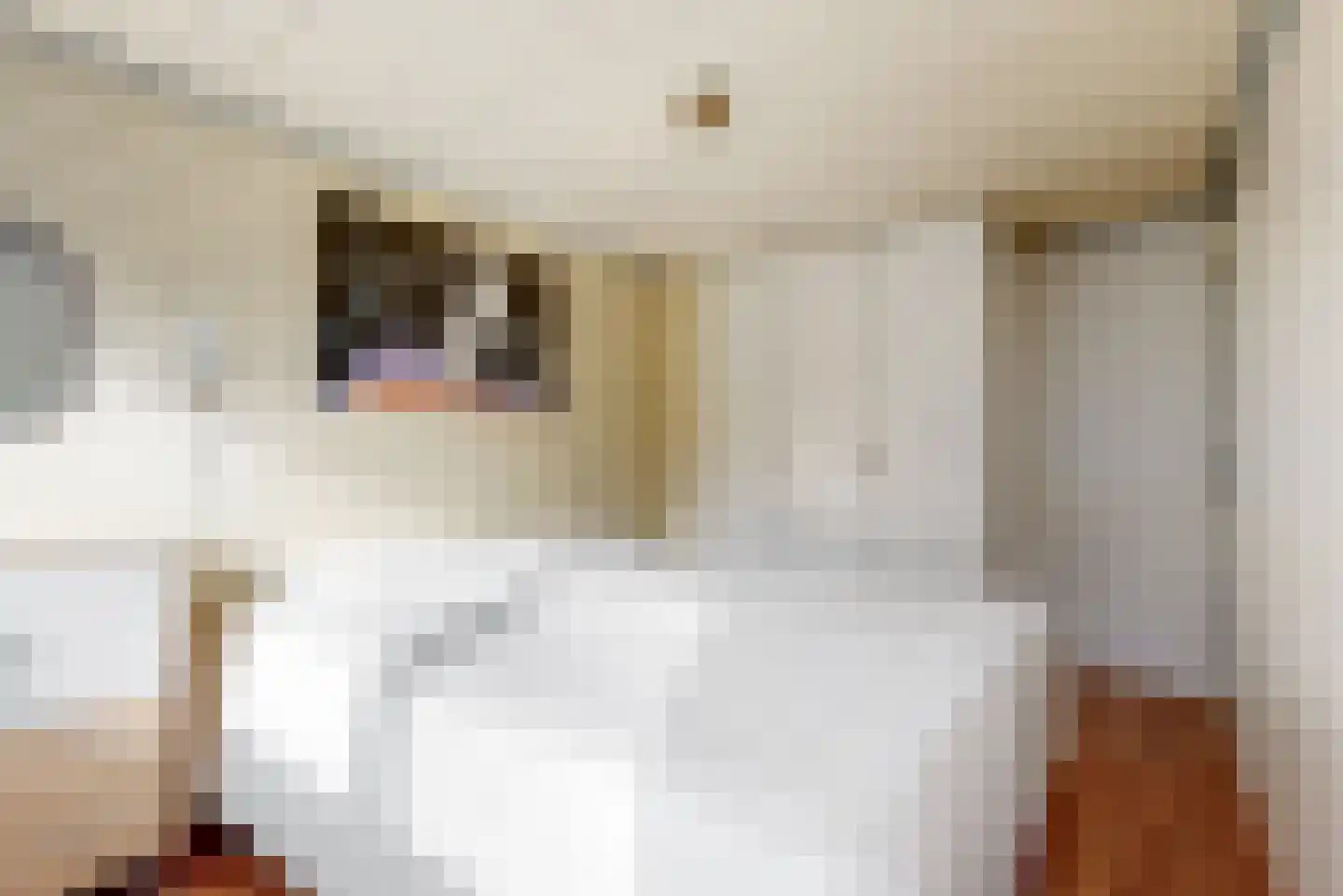 Tamboerijnhof 15 Zaandijk thumbnail 13