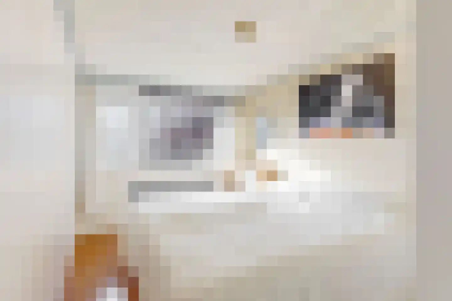 Tamboerijnhof 15 Zaandijk thumbnail 15