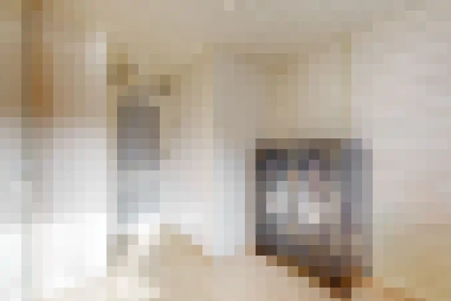 Tamboerijnhof 15 Zaandijk thumbnail 15