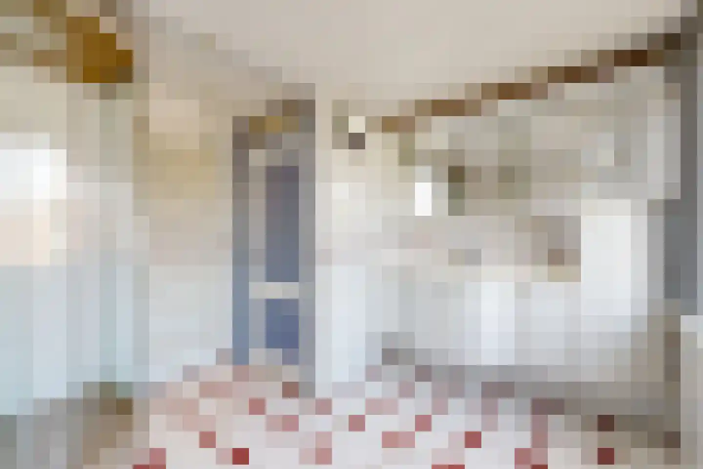 Tamboerijnhof 15 Zaandijk thumbnail 19