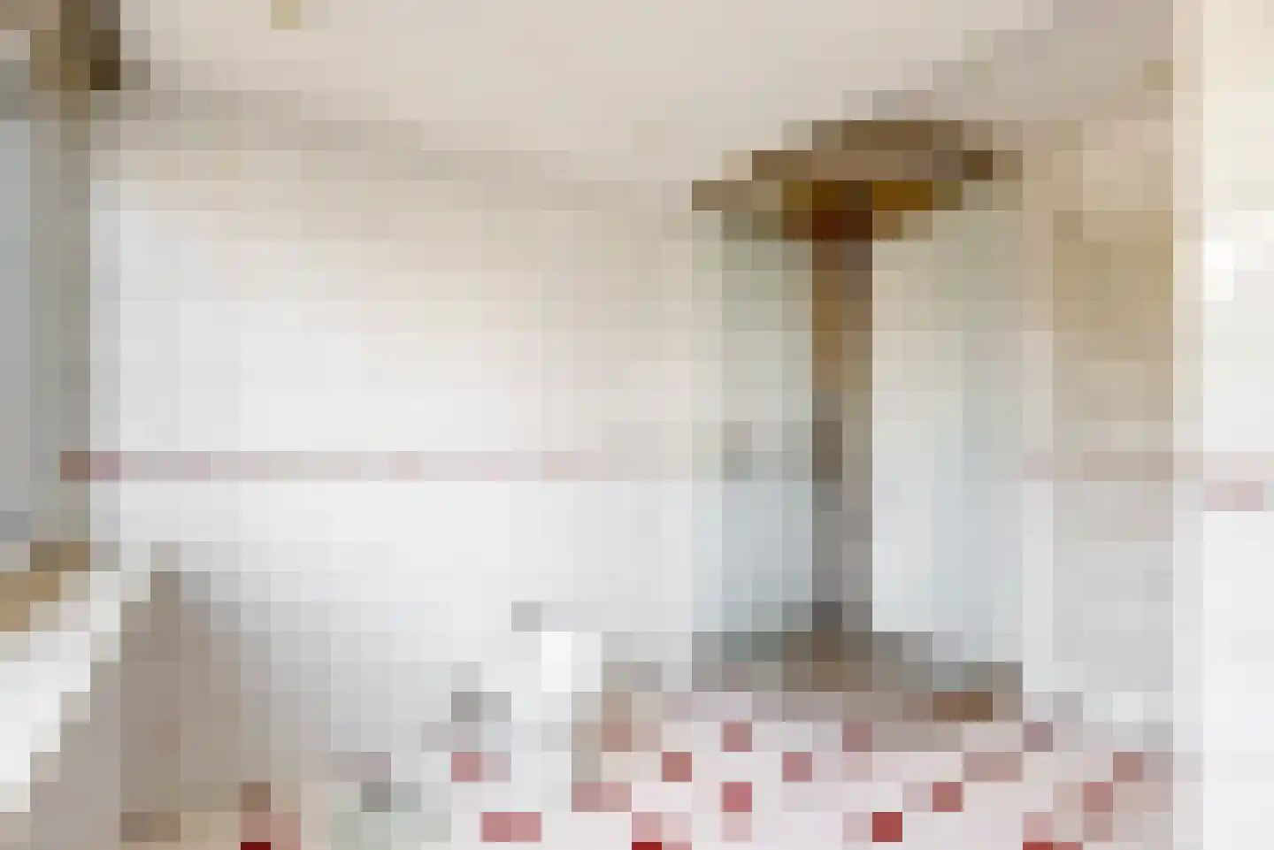 Tamboerijnhof 15 Zaandijk thumbnail 20