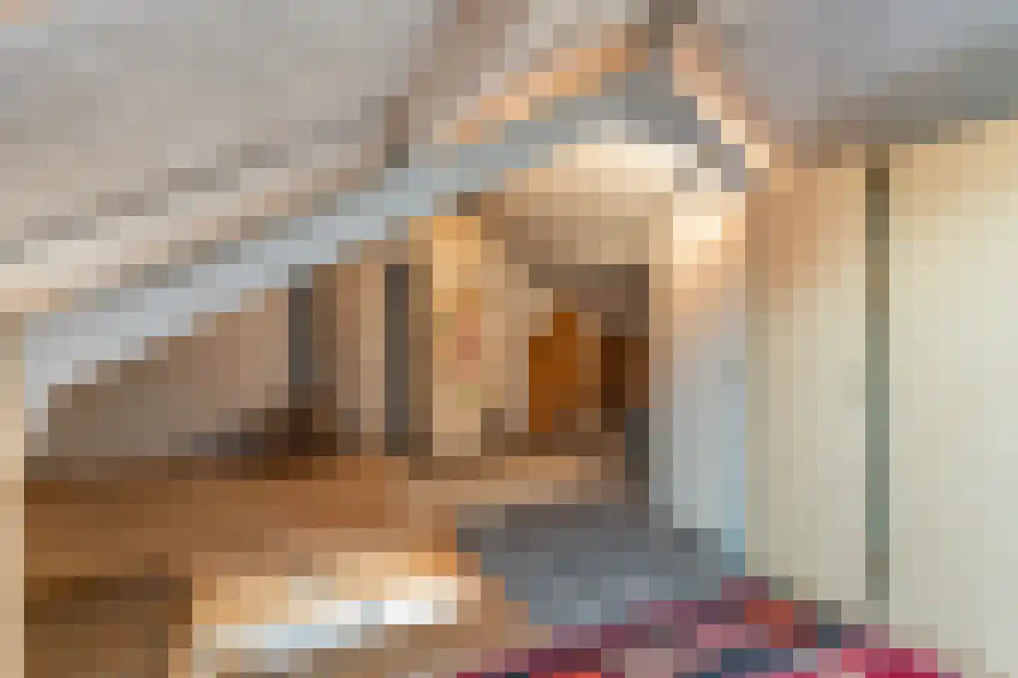 Tamboerijnhof 15 Zaandijk thumbnail 22