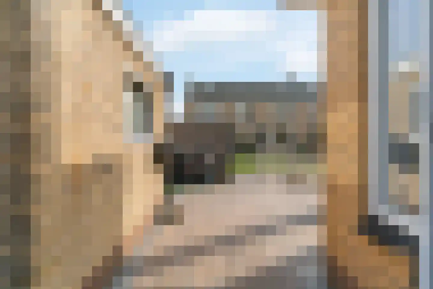 Tamboerijnhof 15 Zaandijk thumbnail 24