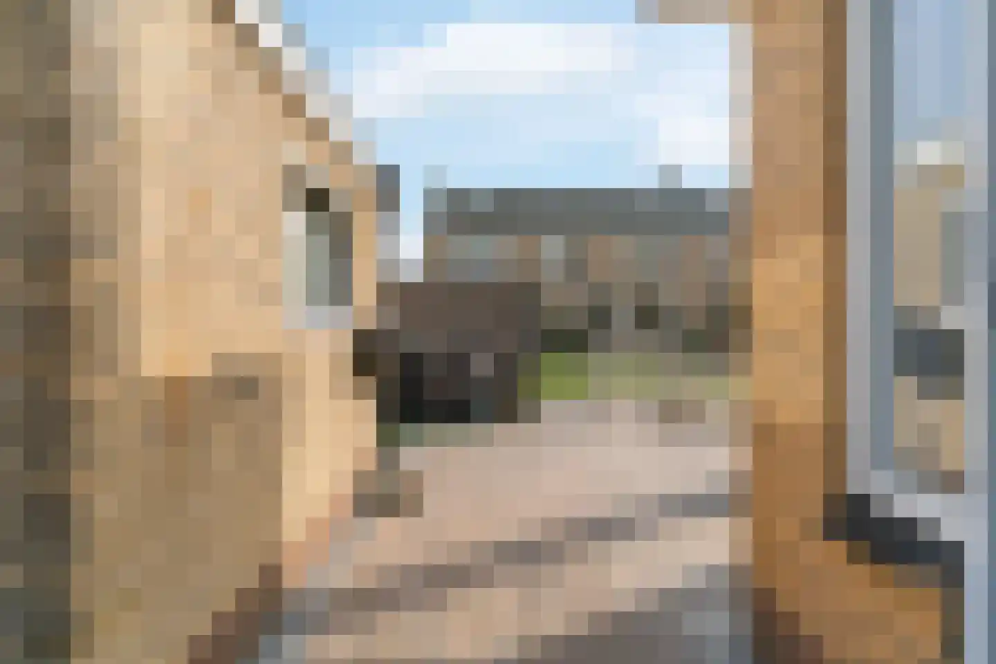 Tamboerijnhof 15 Zaandijk thumbnail 25