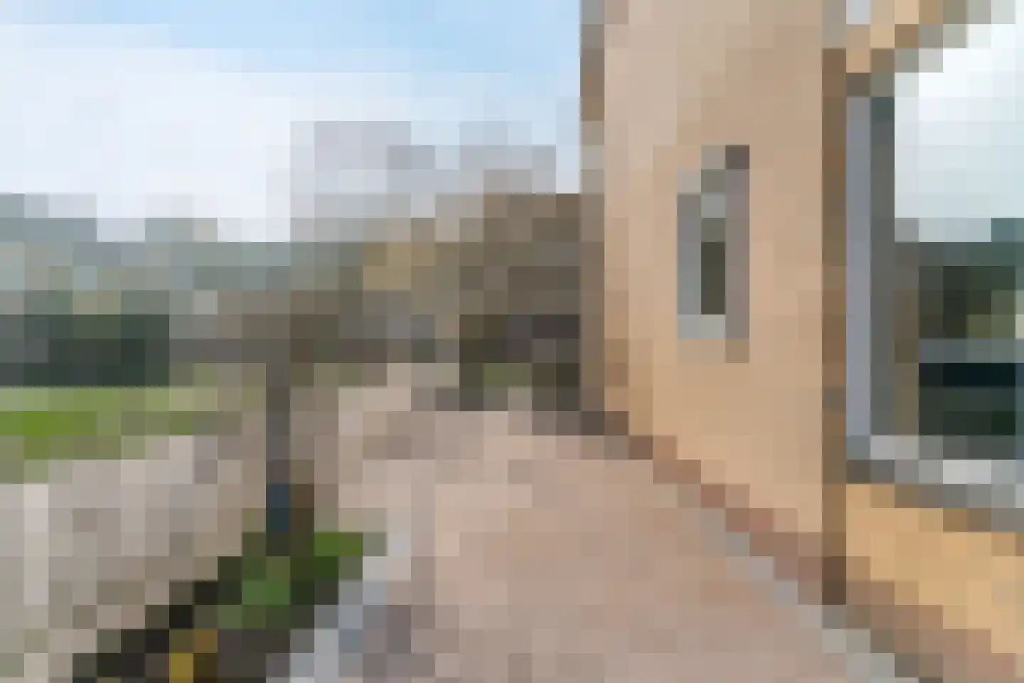 Tamboerijnhof 15 Zaandijk thumbnail 26
