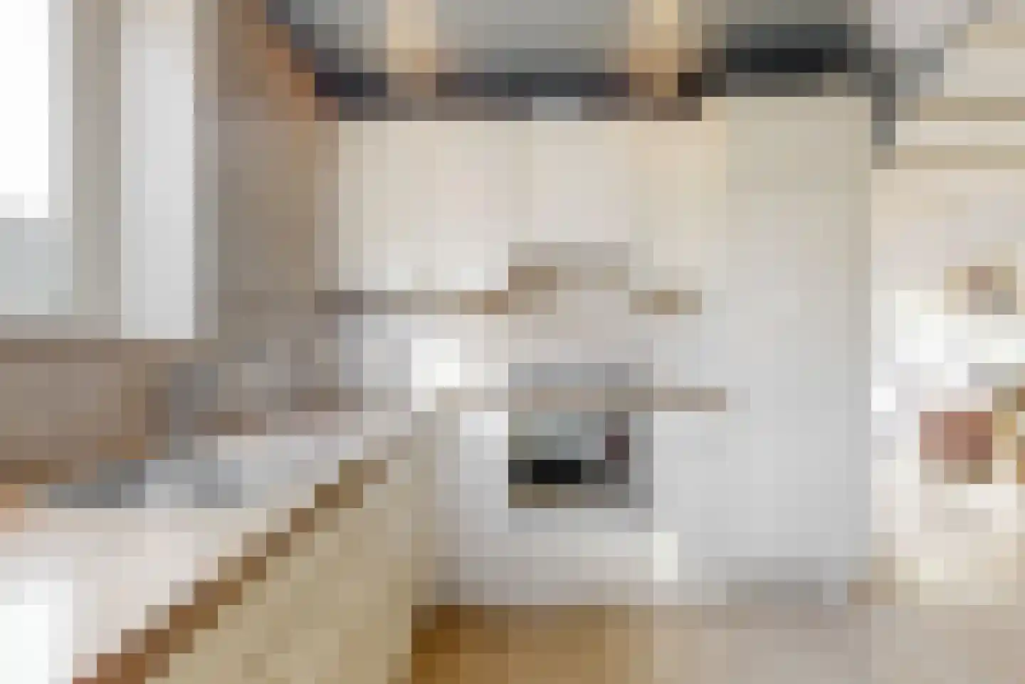 Tamboerijnhof 15 Zaandijk thumbnail 4