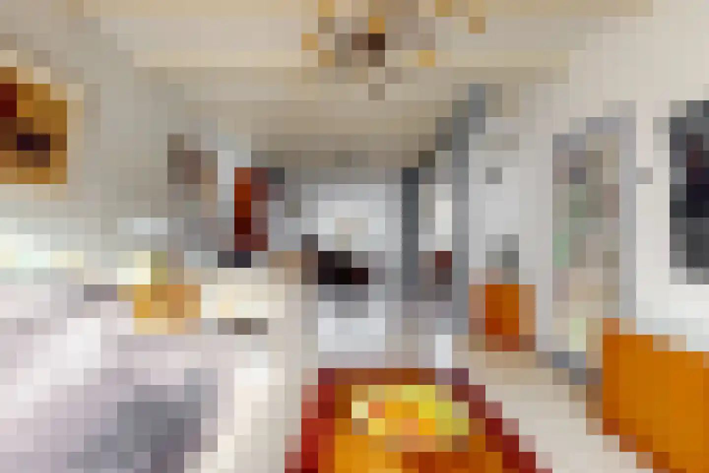 Tamboerijnhof 15 Zaandijk thumbnail 7