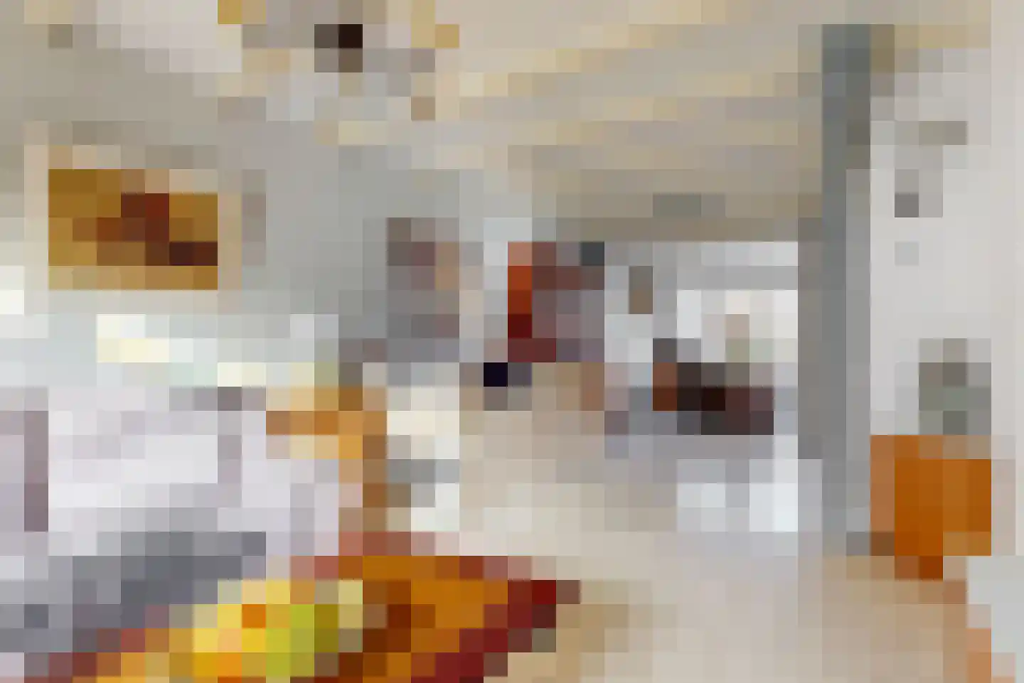 Tamboerijnhof 15 Zaandijk thumbnail 9