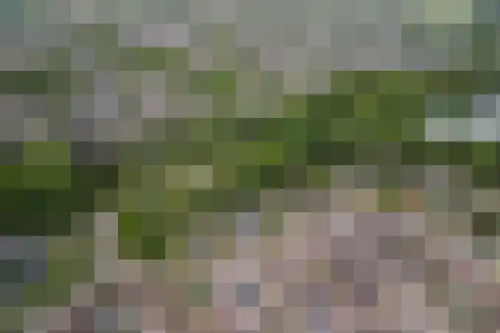 Tamboerijnlaan 16 Dongen thumbnail 10