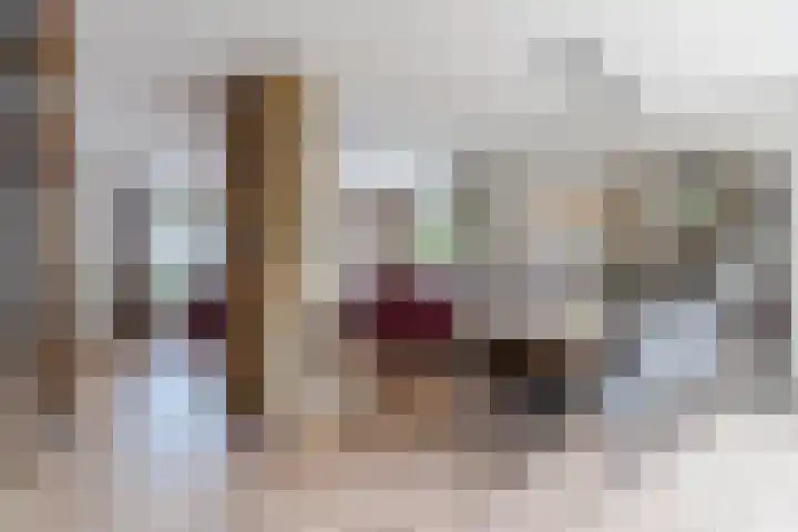 Tamboerijnlaan 16 Dongen thumbnail 22