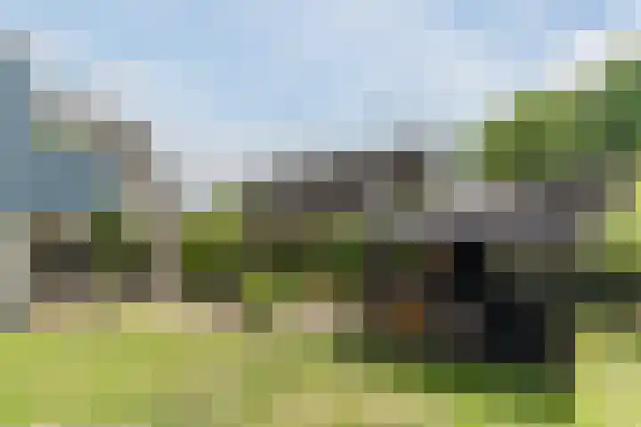 Tamboerijnlaan 16 Dongen thumbnail 27