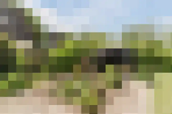 Tamboerijnlaan 16 Dongen thumbnail 28