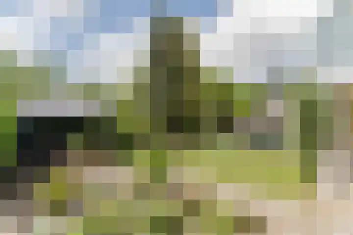 Tamboerijnlaan 16 Dongen thumbnail 29