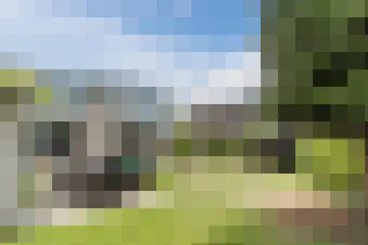 Tamboerijnlaan 16 Dongen thumbnail 30