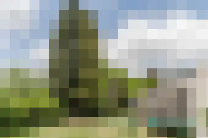 Tamboerijnlaan 16 Dongen thumbnail 31