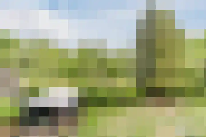 Tamboerijnlaan 16 Dongen thumbnail 32