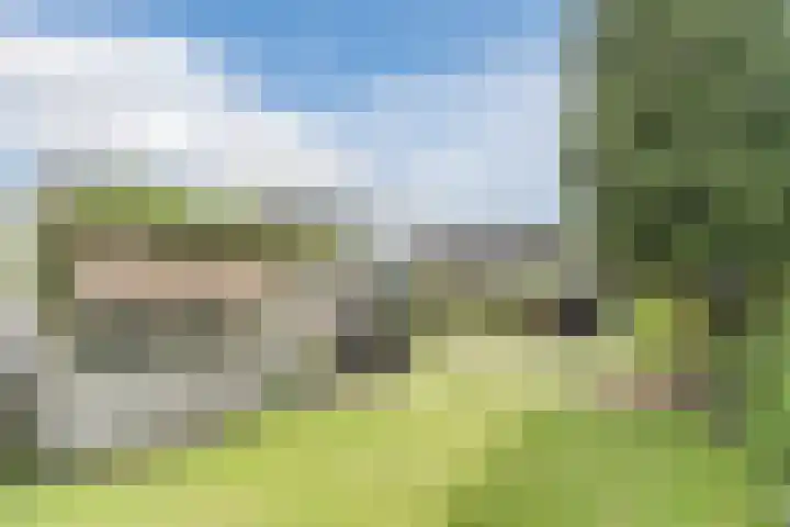 Tamboerijnlaan 16 Dongen thumbnail 33
