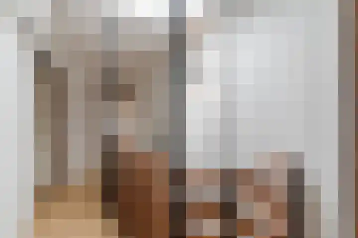 Tamboerijnlaan 16 Dongen thumbnail 34