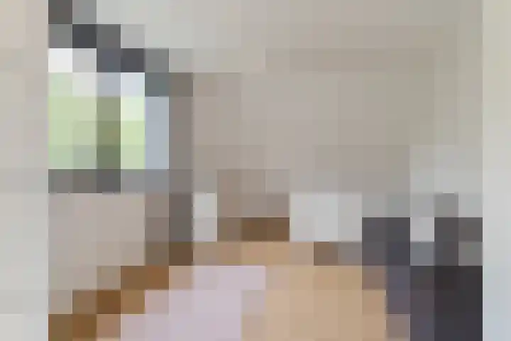 Tamboerijnlaan 16 Dongen thumbnail 35