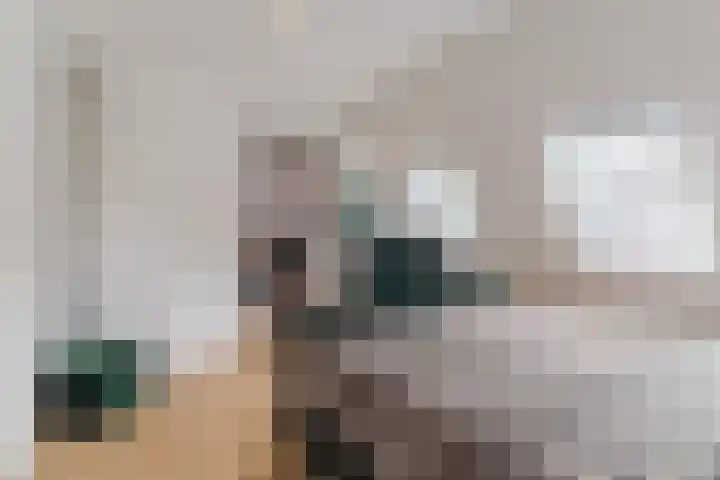 Tamboerijnlaan 16 Dongen thumbnail 38