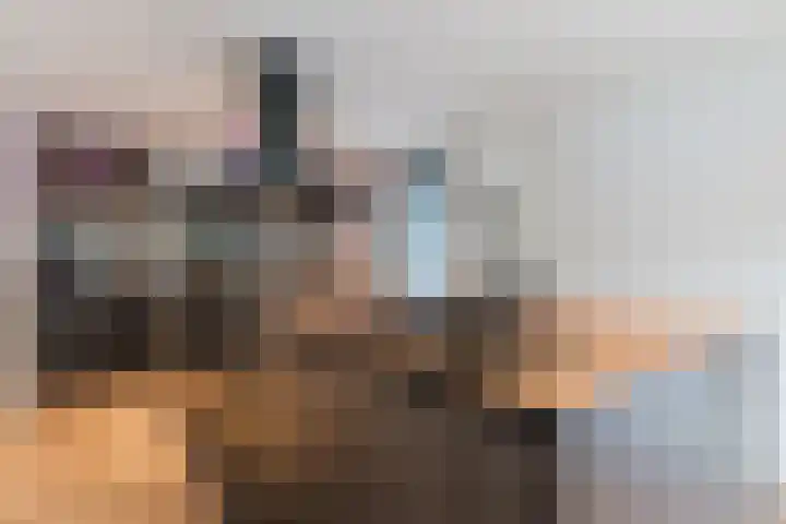 Tamboerijnlaan 16 Dongen thumbnail 4