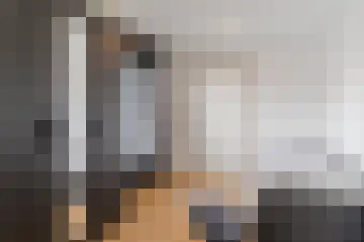 Tamboerijnlaan 16 Dongen thumbnail 42