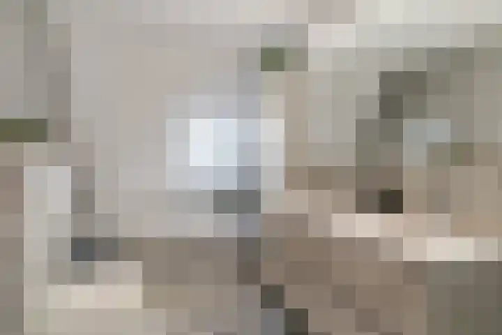 Tamboerijnlaan 16 Dongen thumbnail 47