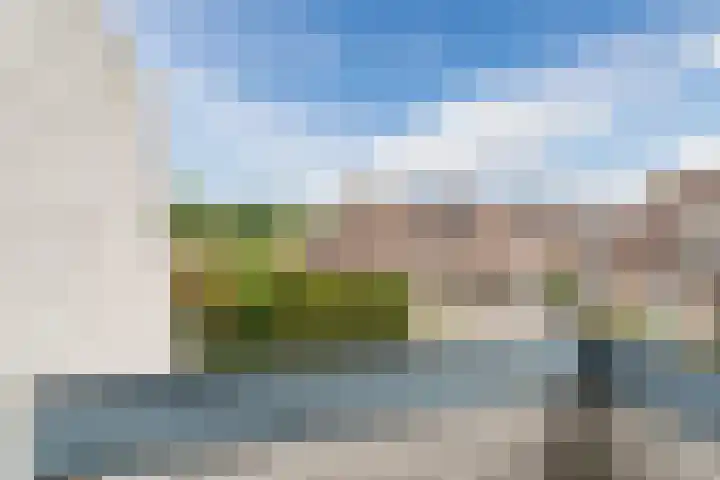 Tamboerijnlaan 16 Dongen thumbnail 49