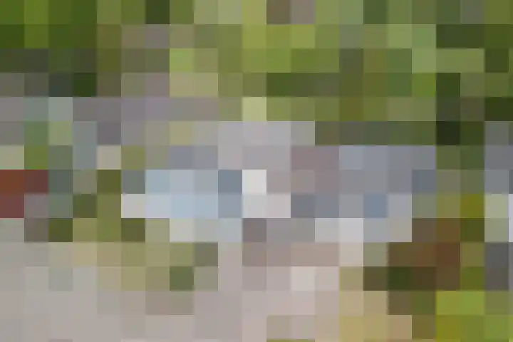 Tamboerijnlaan 16 Dongen thumbnail 5