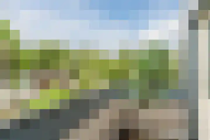 Tamboerijnlaan 16 Dongen thumbnail 50