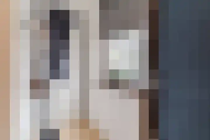 Tamboerijnlaan 16 Dongen thumbnail 51