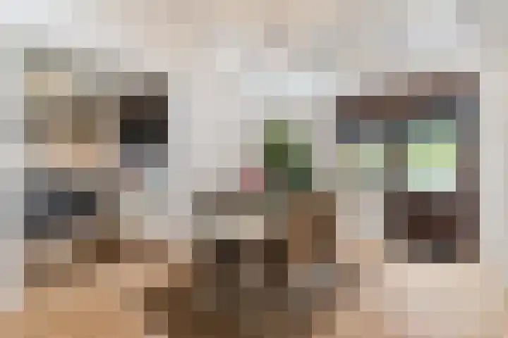 Tamboerijnlaan 16 Dongen thumbnail 55