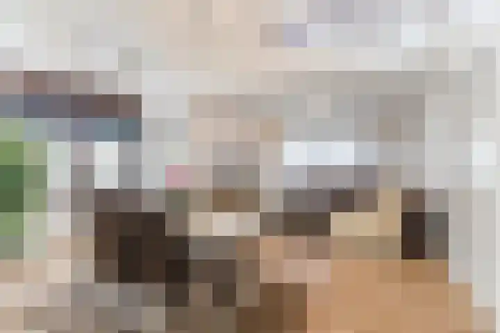 Tamboerijnlaan 16 Dongen thumbnail 56
