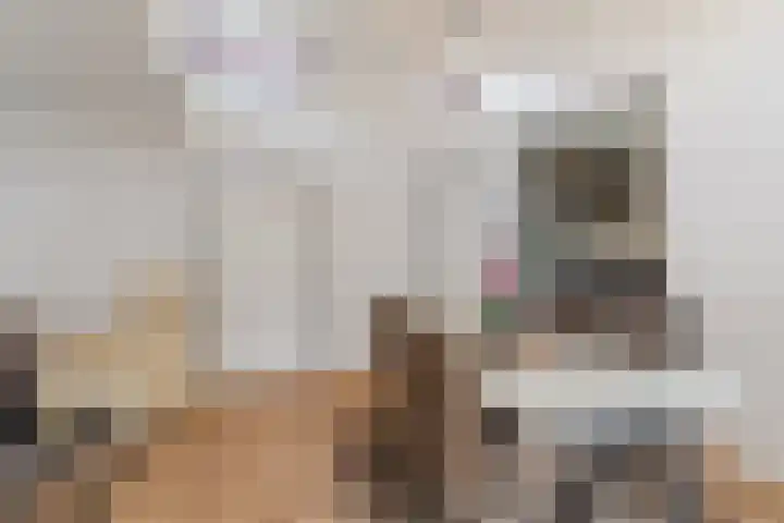 Tamboerijnlaan 16 Dongen thumbnail 57