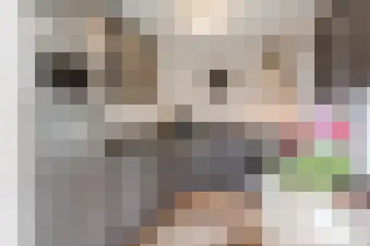 Tamboerijnlaan 16 Dongen thumbnail 58