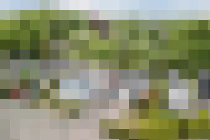 Tamboerijnlaan 16 Dongen thumbnail 6